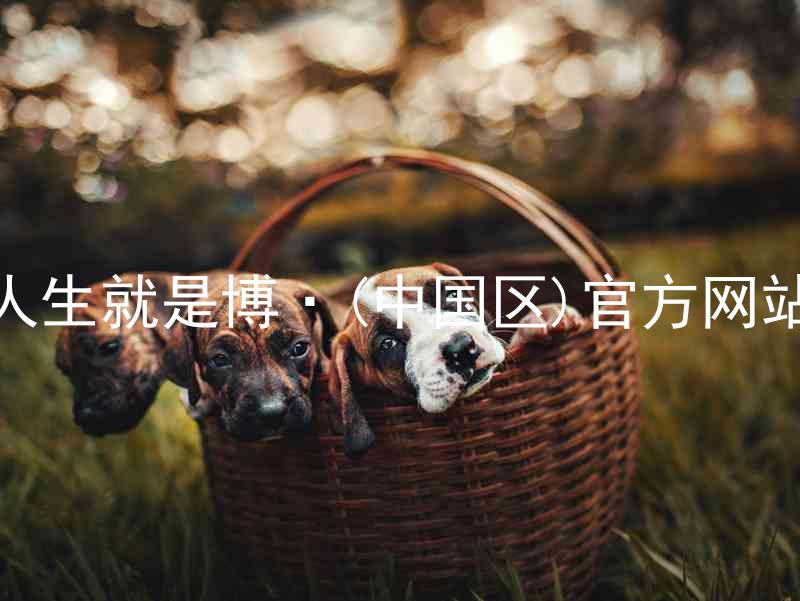 人生就是博·(中国区)官方网站