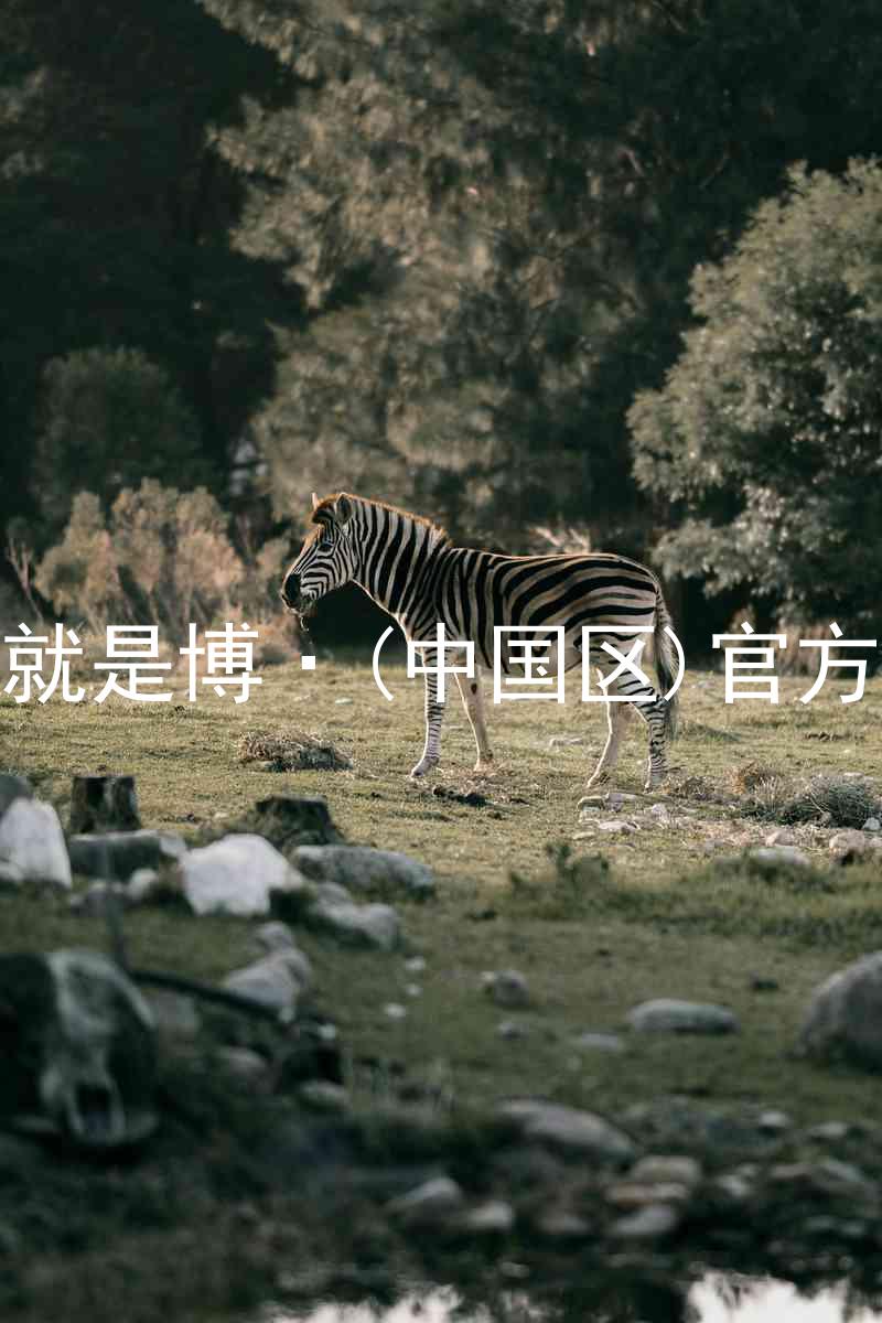 人生就是博·(中国区)官方网站